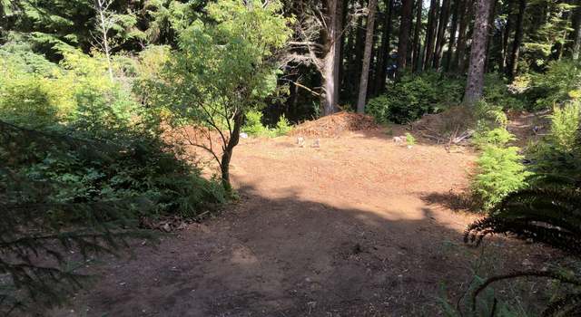 Photo of TL 113 Foothills Ln, OR 97498