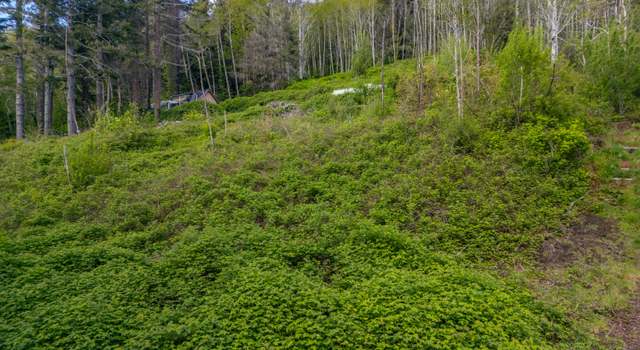 Photo of T/L 6700 N Fawn Dr, Otis, OR 97368