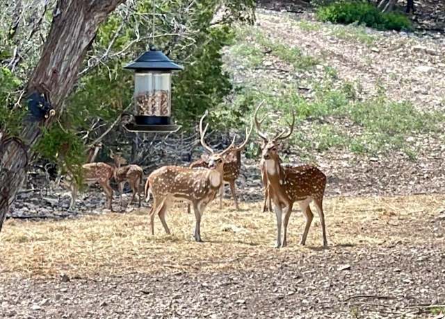 Property at 1273 Cr 630 Unit 1273 County Road 630, Rocksprings, TX 78880