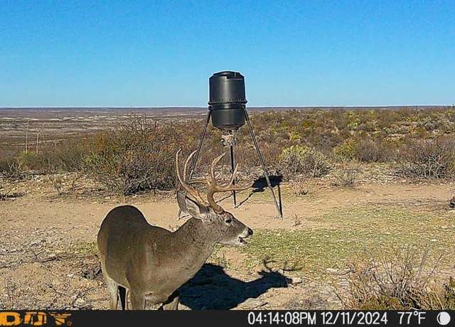 Property at Lot 6 Rockhouse Loop, Dryden, TX 78851