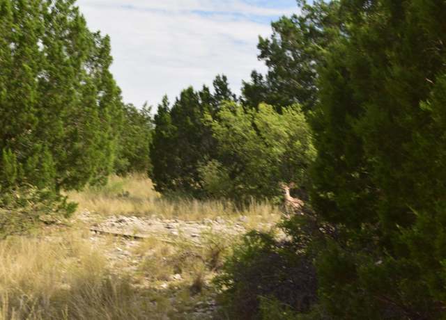 Property at 4-J Ranch Phase -3 Tracts 27 & 28, Del Rio, TX 78840