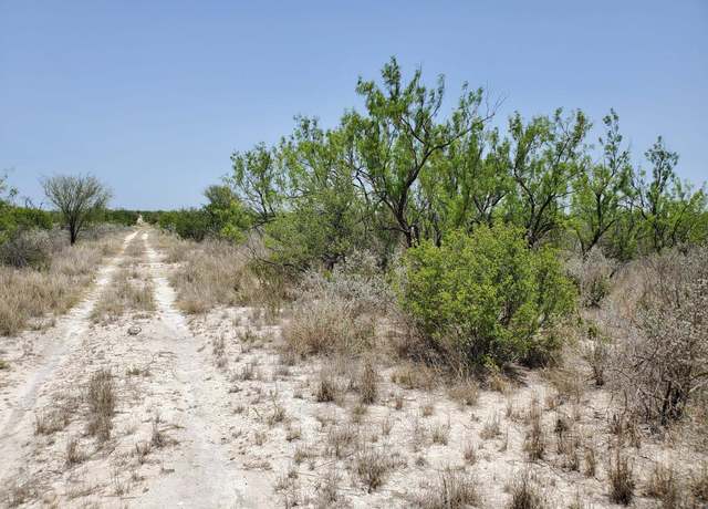 Property at 17231 Ranch Rd 693 Lot 13 & 19, Brackettville, TX 78832