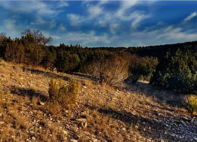 Property at 000 Oak Bend Rnch, Rocksprings, TX 78880