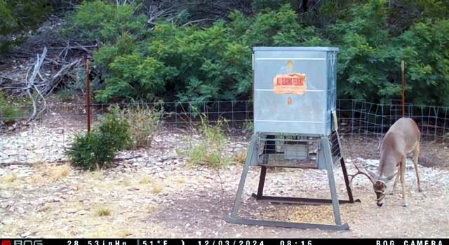 Photo of 6441 Js Murray Rnch, Rocksprings, TX 78880