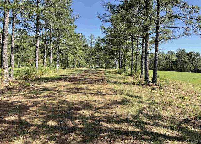 Property at TBD Lakeland Ranch Sec 1. Blk 1, Lot 14, Hillister, TX 77624