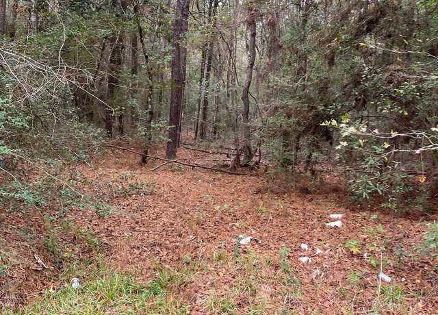 Property at west side of Bussey R9oad, Silsbee, TX 77656
