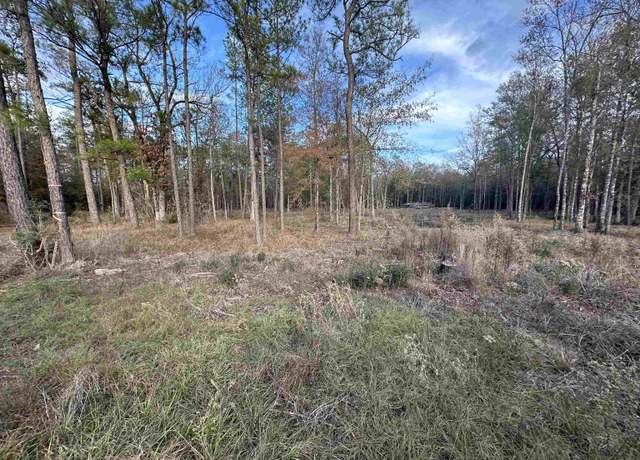 Property at 10499 Country Road 701, Buna, TX 77612