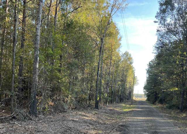 Property at 000 Cr 409, Kirbyville, TX 75956