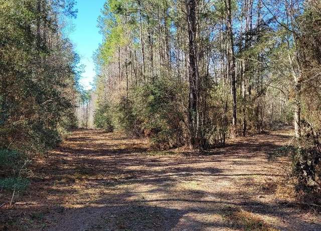 Property at TBD County Road 4110, Call, TX 75933