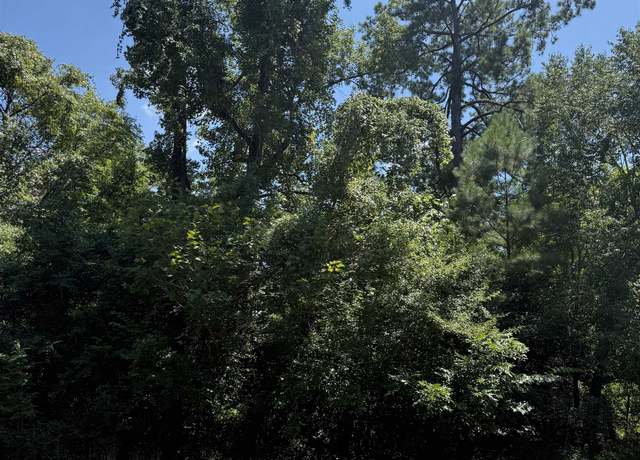 Property at TRACT 11 N Hwy 87, Burkeville, TX 75932