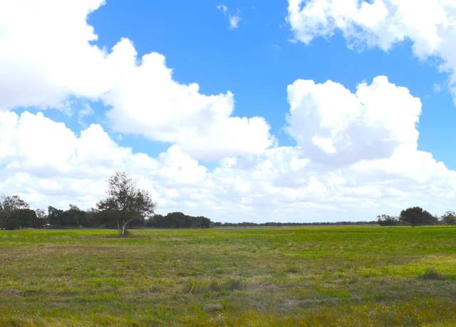 Property at 16369 Wise Rd, Hamshire, TX 77622