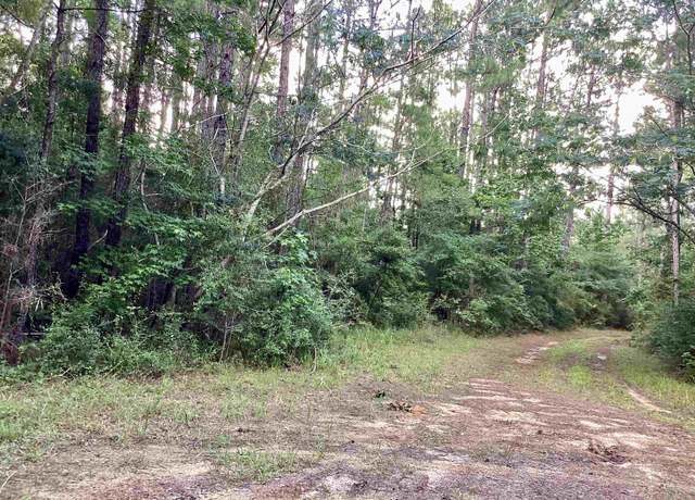 Property at County Road 2020, Newton, TX 75966