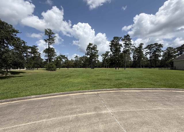 Property at 280 Idylwild, Sour Lake, TX 77659