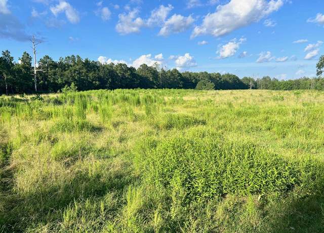 Property at 1111 County Road 3113, Buna, TX 77612