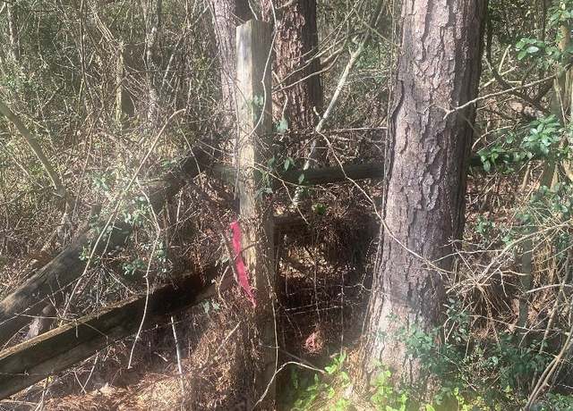 Property at 000 Hwy 787, Saratoga, TX 77376