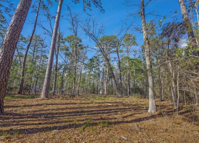 Property at 430 Deergrass Dr, Brookeland, TX 75931