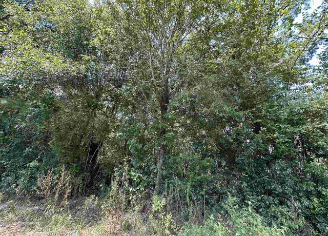 Property at Lot 3 Oleander, Lumberton, TX 77657