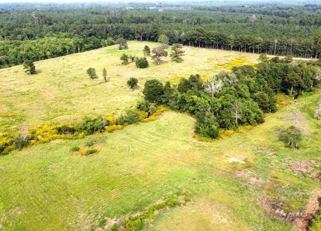 Property at A1264 Cr 3063, Kirbyville, TX 75956