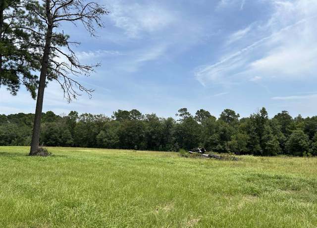 Property at lot 378 East Madison Lake Rd, Woodville, TX 75979