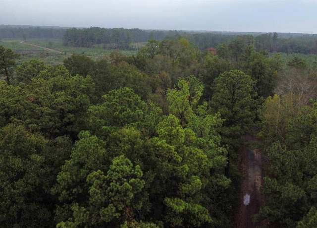 Property at 876 County Road 3087, Call, TX 75933