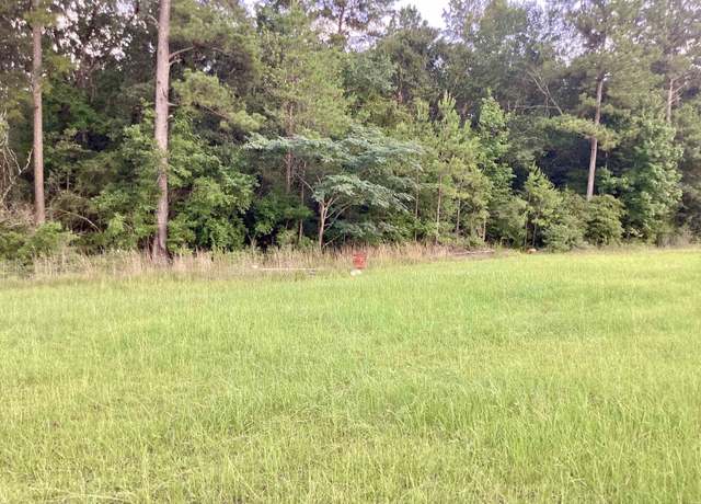 Property at 000 County Road 2020, Newton, TX 75966