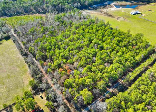 Property at 1230 County Road 2039, Newton, TX 75966