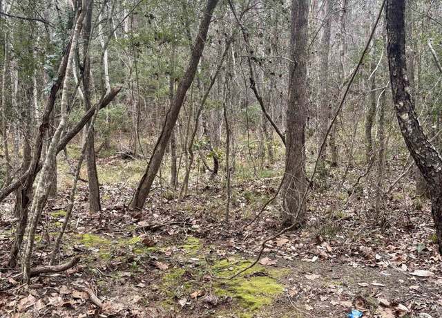 Property at 8895 S US Highway 96, Jasper, TX 75951