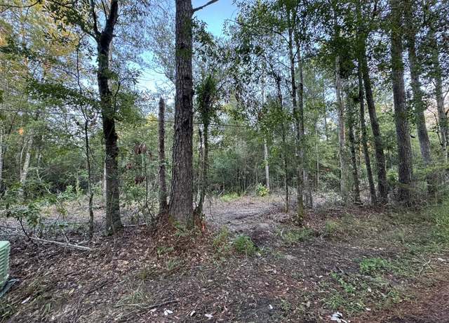 Property at 5.10 Acres on Cr 459, Kirbyville, TX 75956