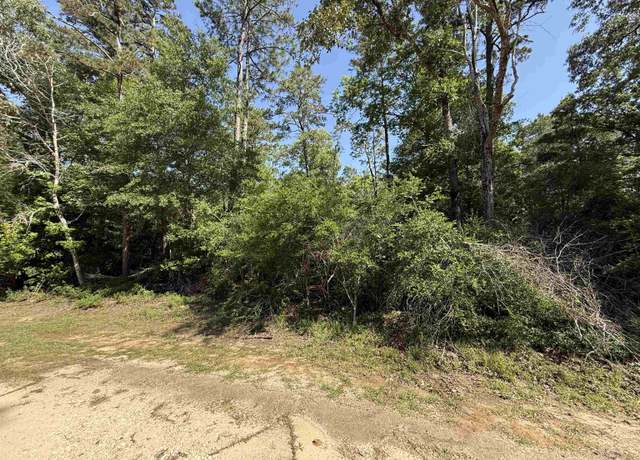 Property at 0000 Country Ln (off of CR 4390), Woodville, TX 75979
