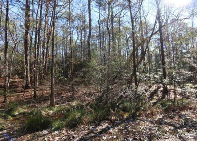 Property at LOT 248 Jones Ln, Brookeland, TX 75931