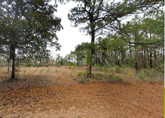 Property at 577 Faye St, Vidor, TX 77662