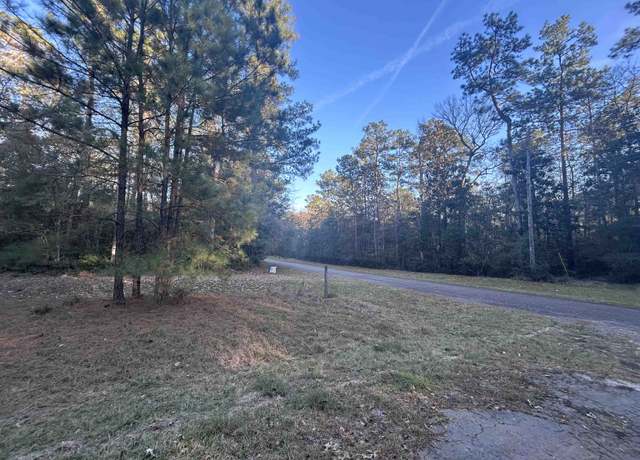 Property at TBD Chestnut Dr, Village Mills, TX 77663