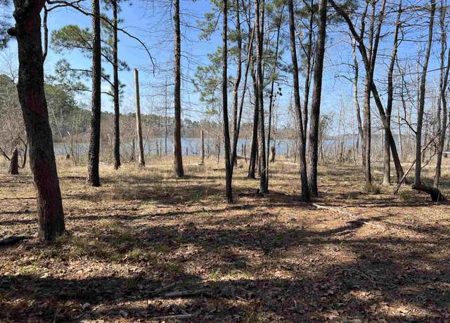 Property at 036 Private Road 6029, Brookeland, TX 75931