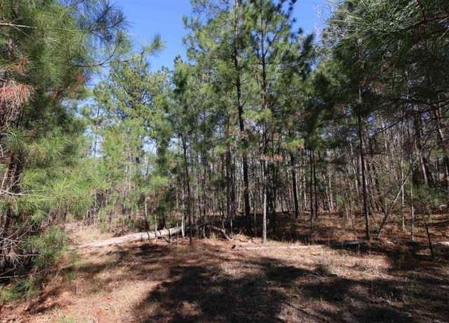 Property at LOT 5 Crossridge Dr, Brookeland, TX 75931