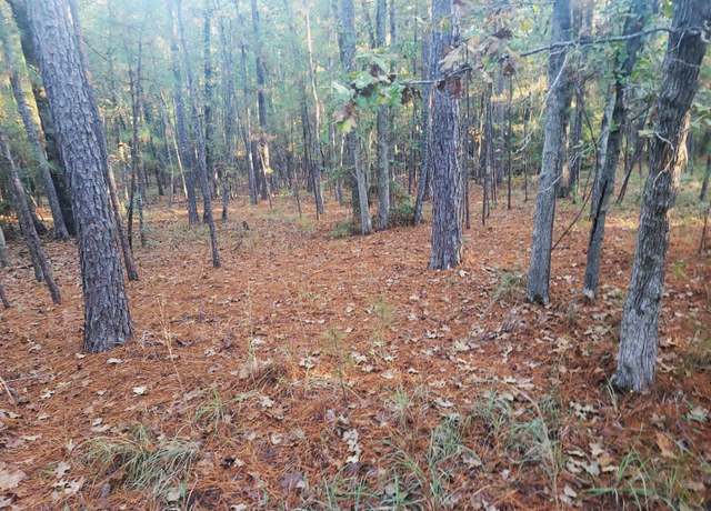 Property at 131 Sunset Ridge Dr, Brookeland, TX 75931
