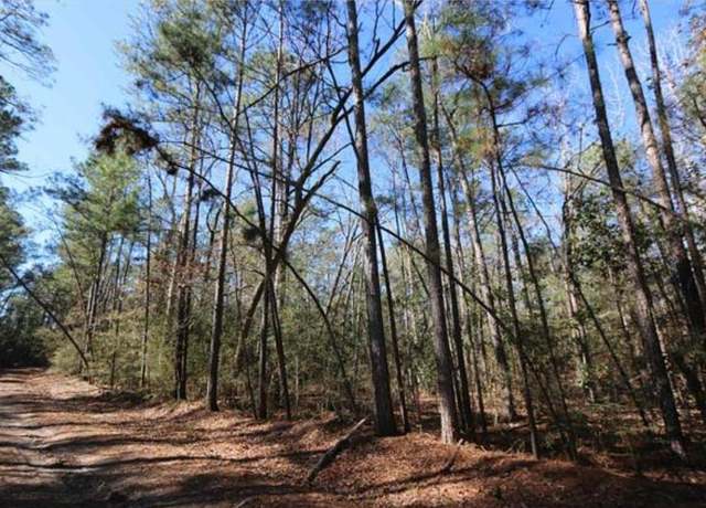 Property at LOT 21 Parkside Dr, Brookeland, TX 75931