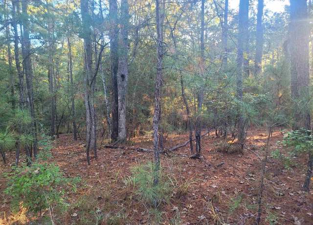Property at 2 Crooked Branch Rd, Brookeland, TX 75931