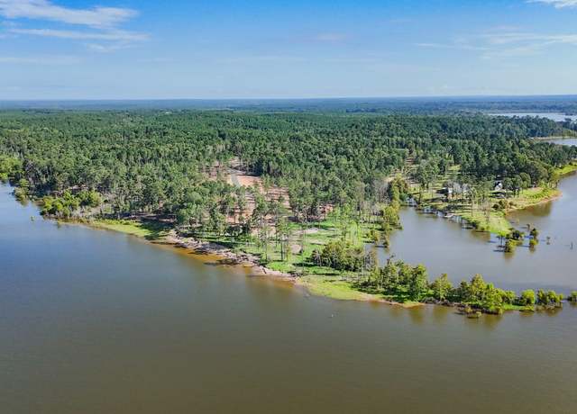 Property at 023 Rayburn Ridge Rd, Pineland, TX 75968