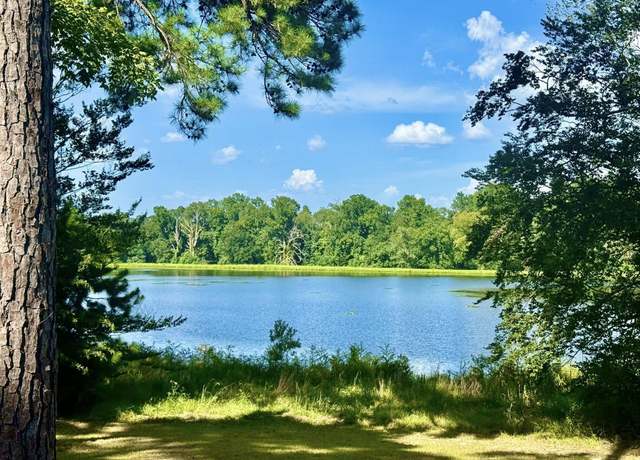 Property at TBD Lakeland Ranch Lot 392,393, Hillister, TX 77624