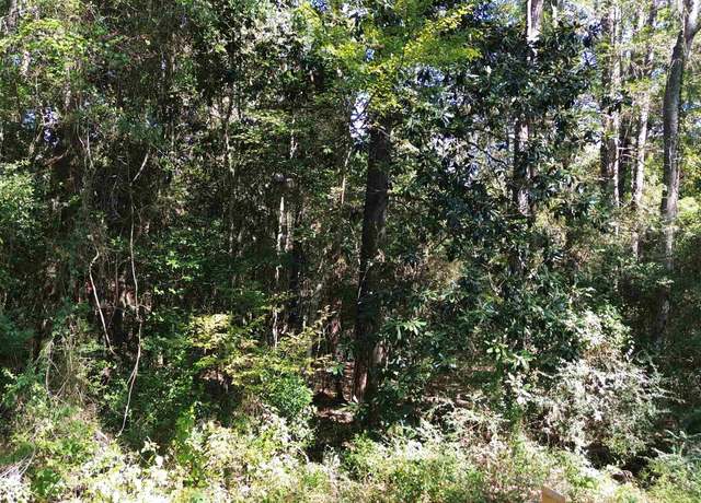 Property at TBD Wickford Rd, Woodville, TX 75979