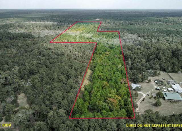 Property at Pope Mill Rd, Off Of On Tx, Hillister, TX 77624