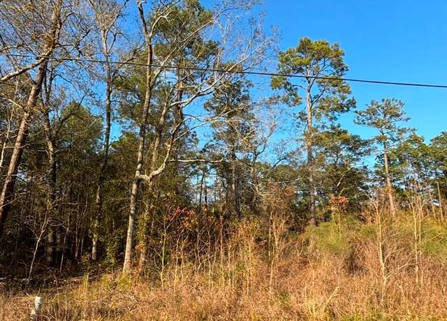 Property at 000 Ella Ln, Vidor, TX 77662