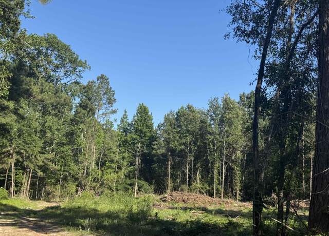 Property at R37357 tract 3 Hwy 69 South, Zavalla, TX 75980