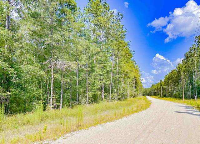Property at 9010 Carter Ranch Rd, Kountze, TX 77625