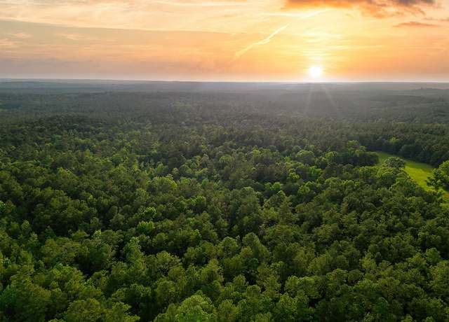 Property at TBD County Road 425, Kirbyville, TX 75956