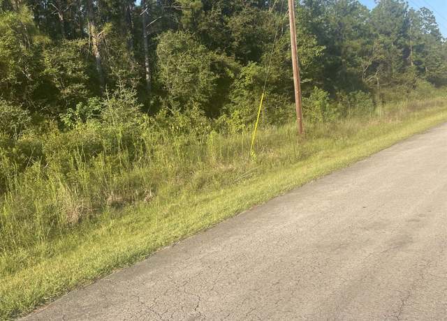 Property at TBD Fm 105, Evadale, TX 77615