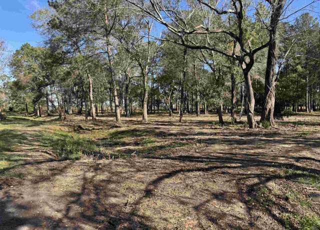 Property at 13205 South Frk, Hamshire, TX 77622
