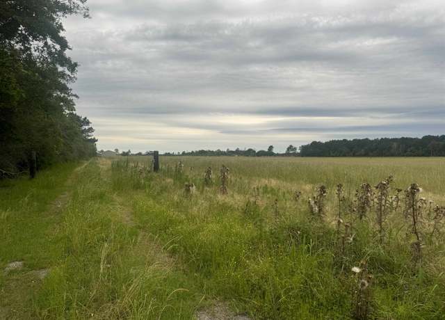 Property at 1555 Fm 1004 W, Kirbyville, TX 75956