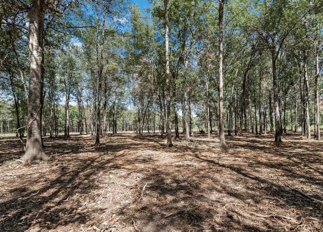 Property at 9840 Japanese Ln, Orange, TX 77630