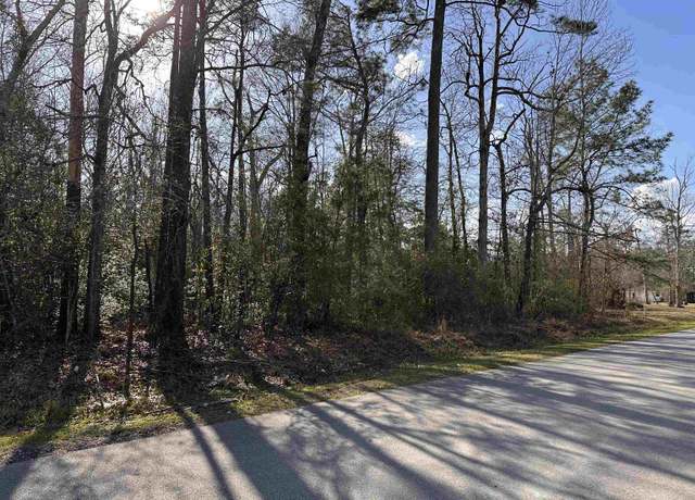 Property at Lot 42 of 48A Micheal Loop, Lumberton, TX 77657